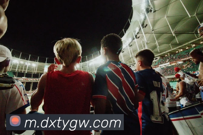 大象体育平台生态图